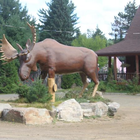 L'Auberge Refuge Du Trappeur Saint-Mathieu-du-Parc Exterior foto