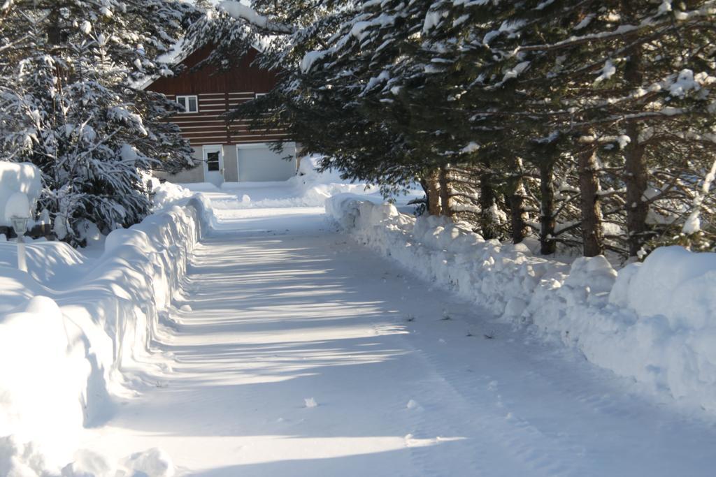 L'Auberge Refuge Du Trappeur Saint-Mathieu-du-Parc Exterior foto